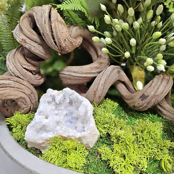 Specimen Jungle Vine with Protea, Allium and Ferns in Bowl 28"H - LDF Silk