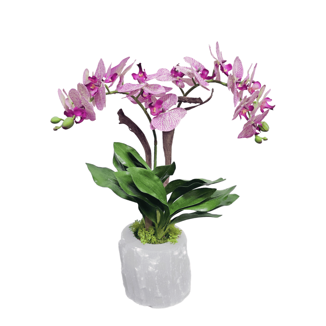 Speckled Phalaenopsis Orchids in Selenite Vase 21"H - LDF Silk