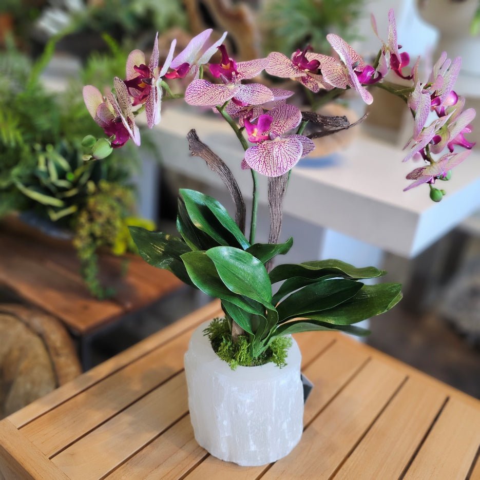 Speckled Phalaenopsis Orchids in Selenite Vase 21"H - LDF Silk
