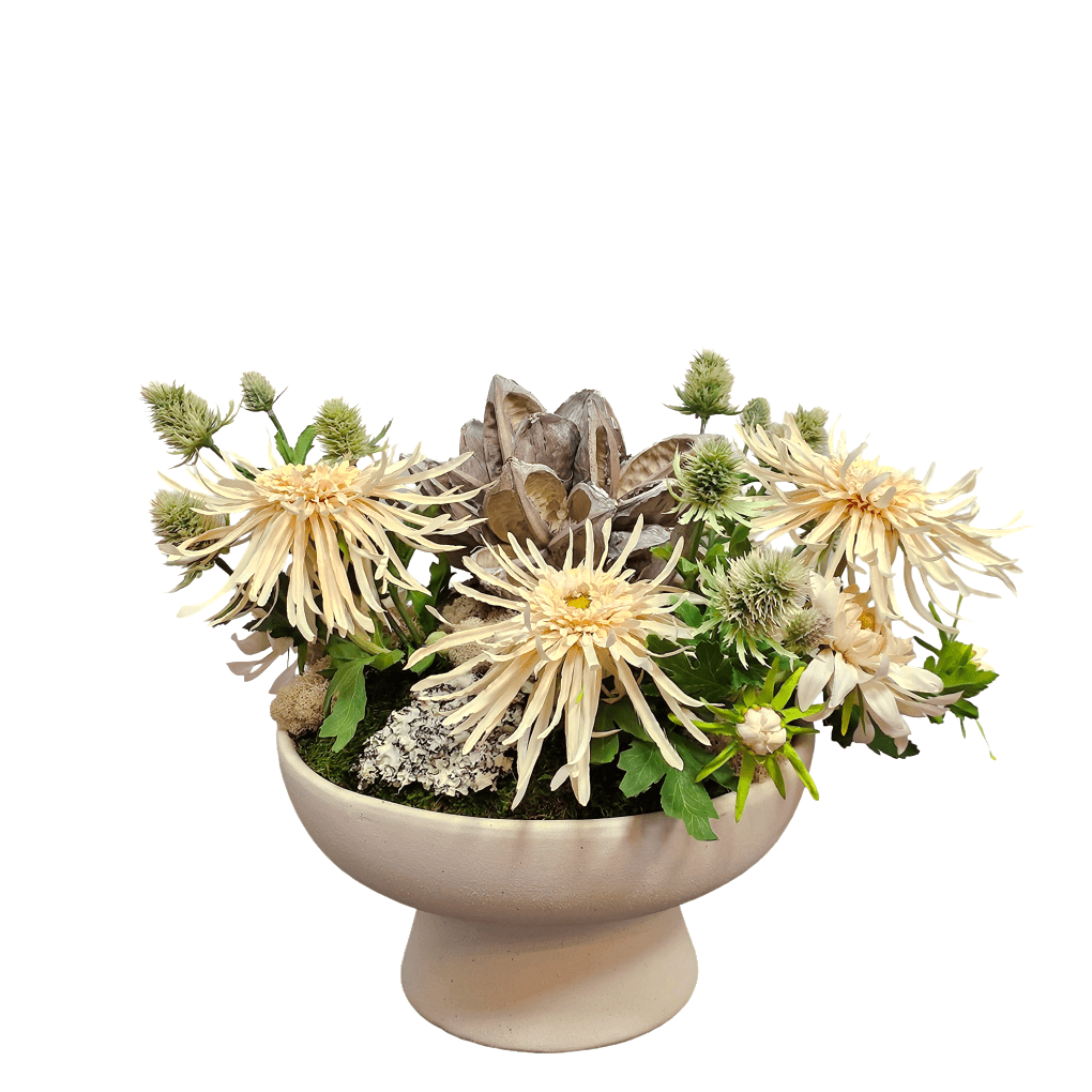 spider plant arrangements Spider Mums and Thistles with Star Pod and Moss in Textured Pedestal C –  LDF Silk