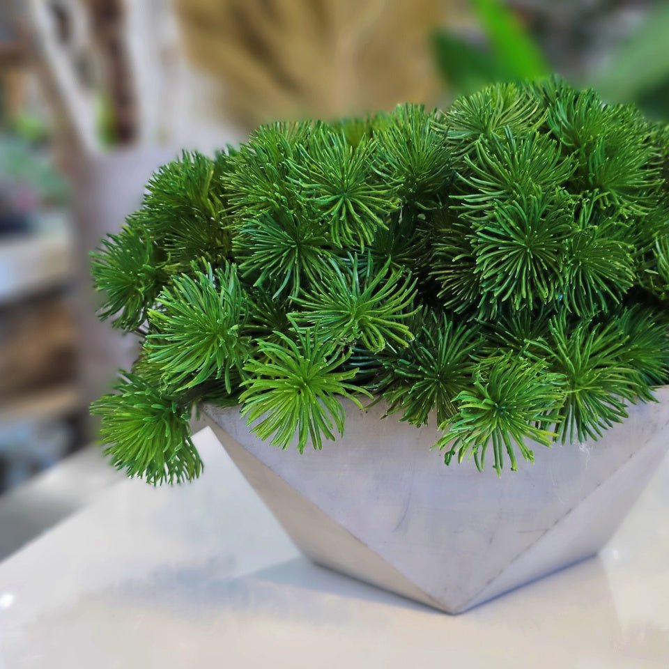 Spikey Grass in Geometric Concrete 12"H - LDF Silk