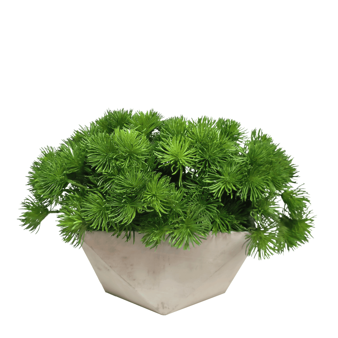 Spikey Grass in Geometric Concrete 12"H - LDF Silk