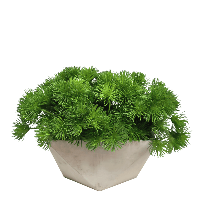 Spikey Grass in Geometric Concrete 12"H - LDF Silk