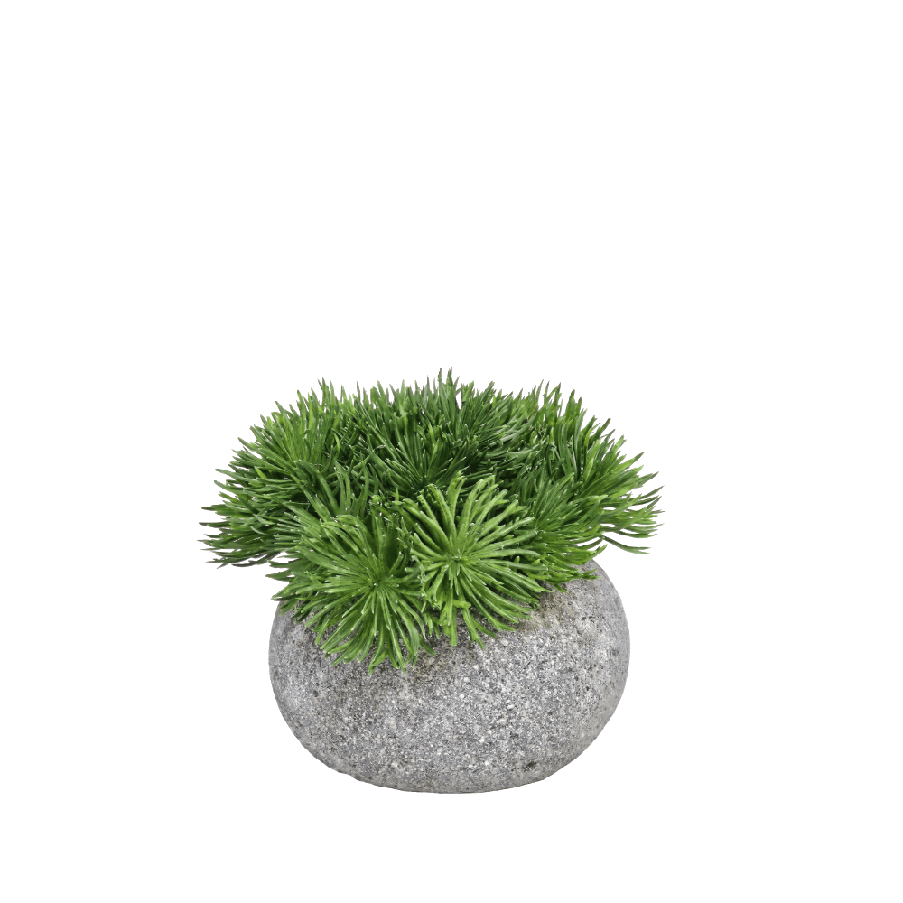 Spikey Grass in Natural Stone 5.5"H - LDF Silk