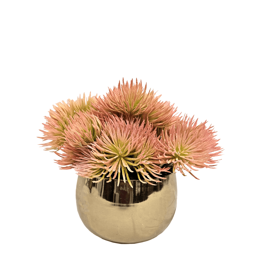 Spikey Succulent in Small Round Container. 8"H - LDF SilkArtificial Flora