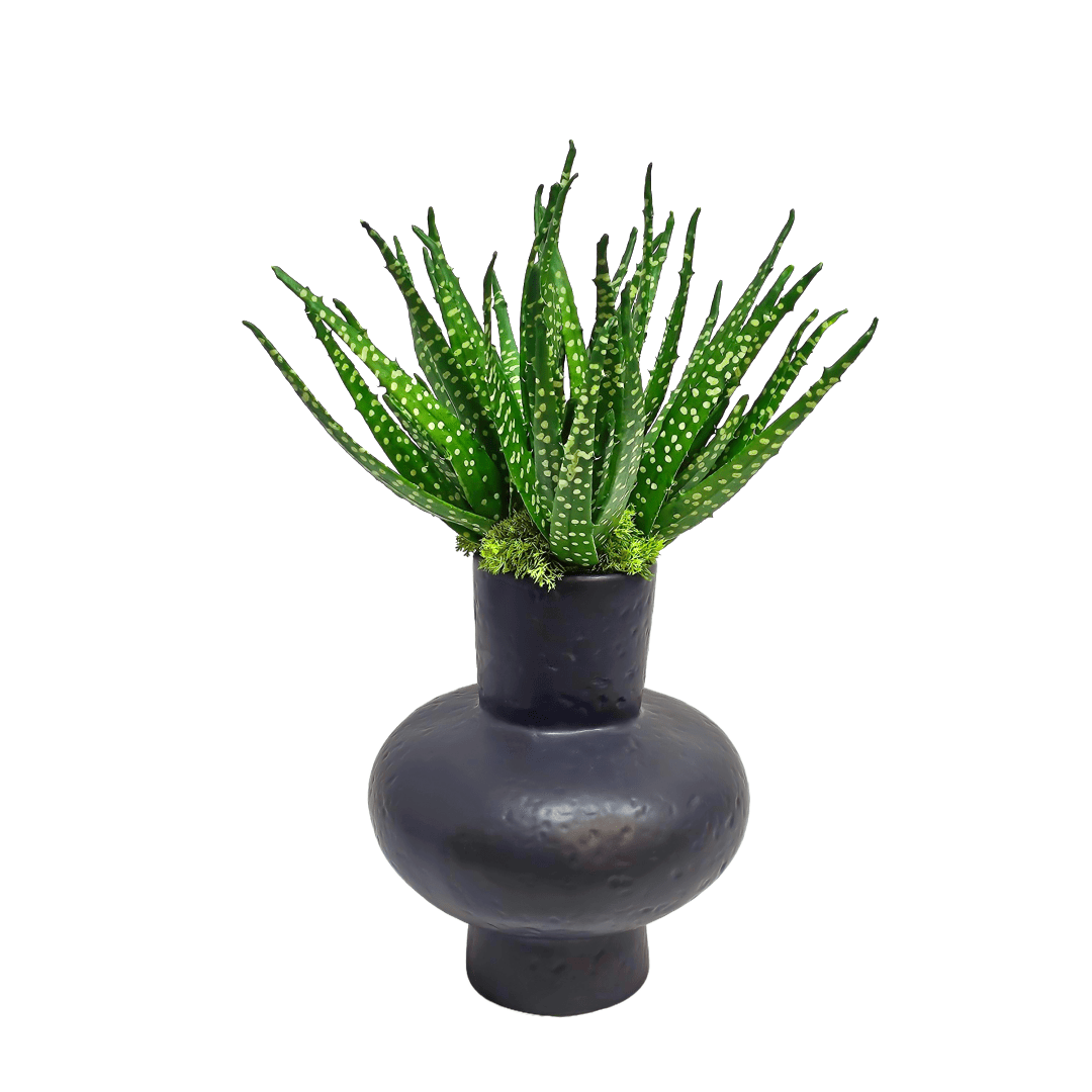 Spotted Aloe in Ceramic Vase 21"H - LDF Silk
