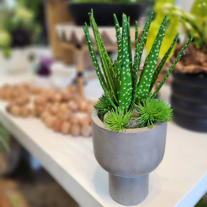 Spotted Aloe in Concrete Round Footed Vase. FH: 17"H - LDF Silk
