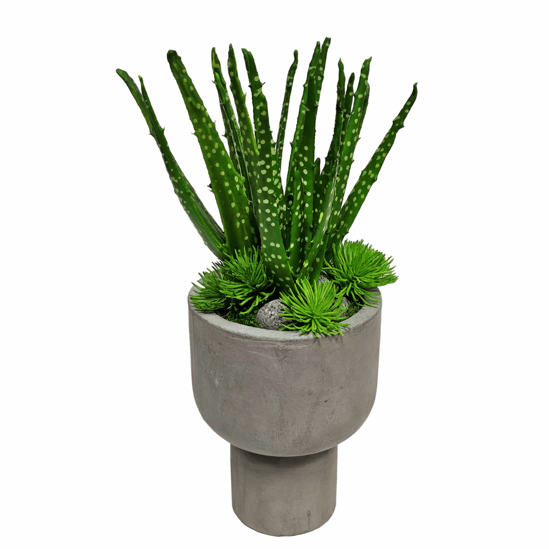 Spotted Aloe in Concrete Round Footed Vase. FH: 17"H - LDF Silk