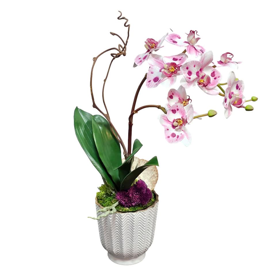 Spotted Orchid with Kiwi in Ceramic 20"H - LDF Silk