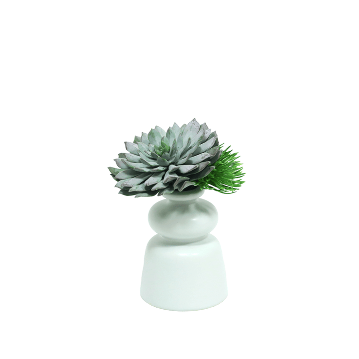 Succulent and Grass Bush in Ceramic Container. 6"H - LDF Silk