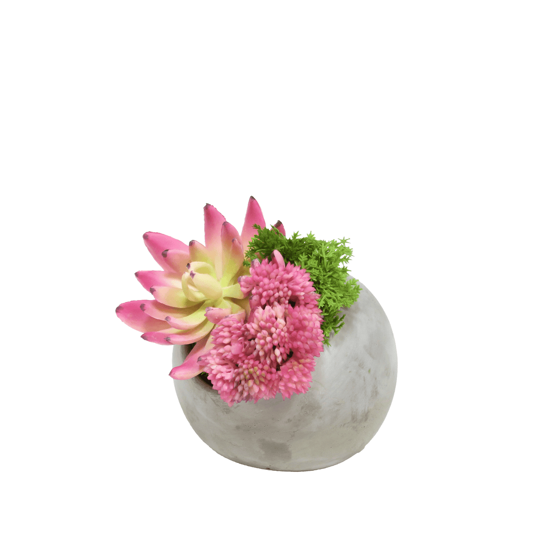 Succulent and Sedum in Concrete Orb 5"H - LDF Silk