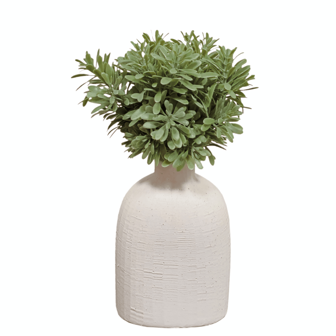 succulent in white vase Succulent Bush in Vase Tall FH: 8"