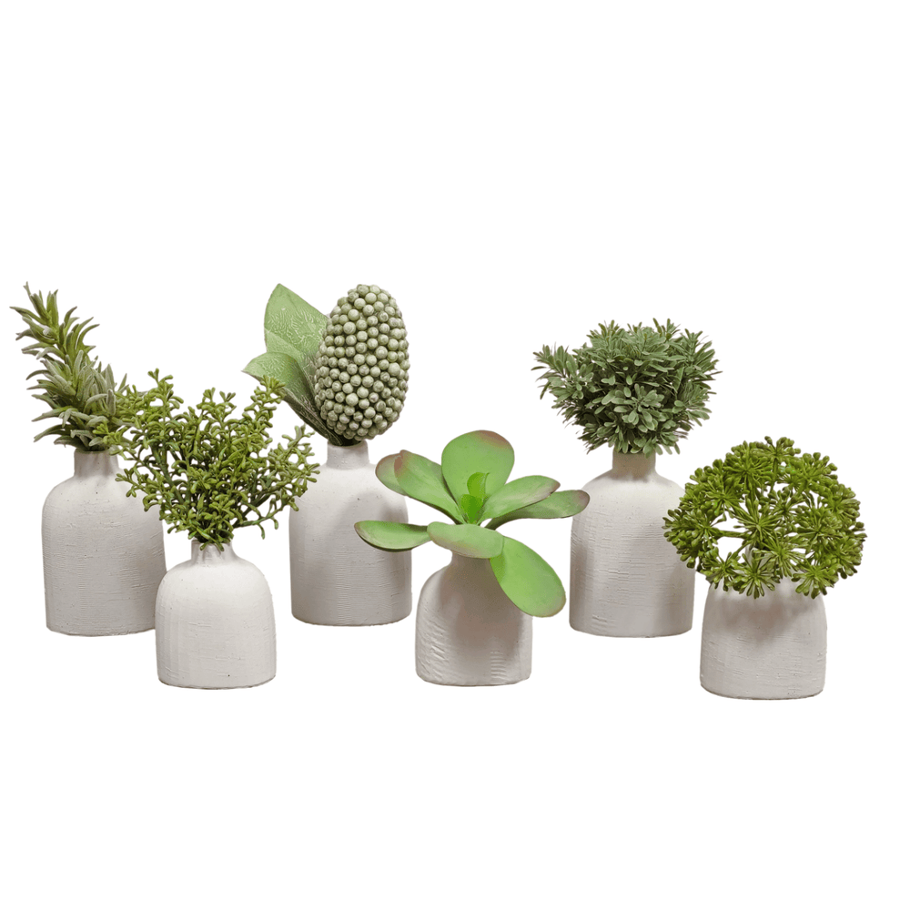 white succulent vase Succulent Bush in Vase Tall FH: 8" – LDF Silk