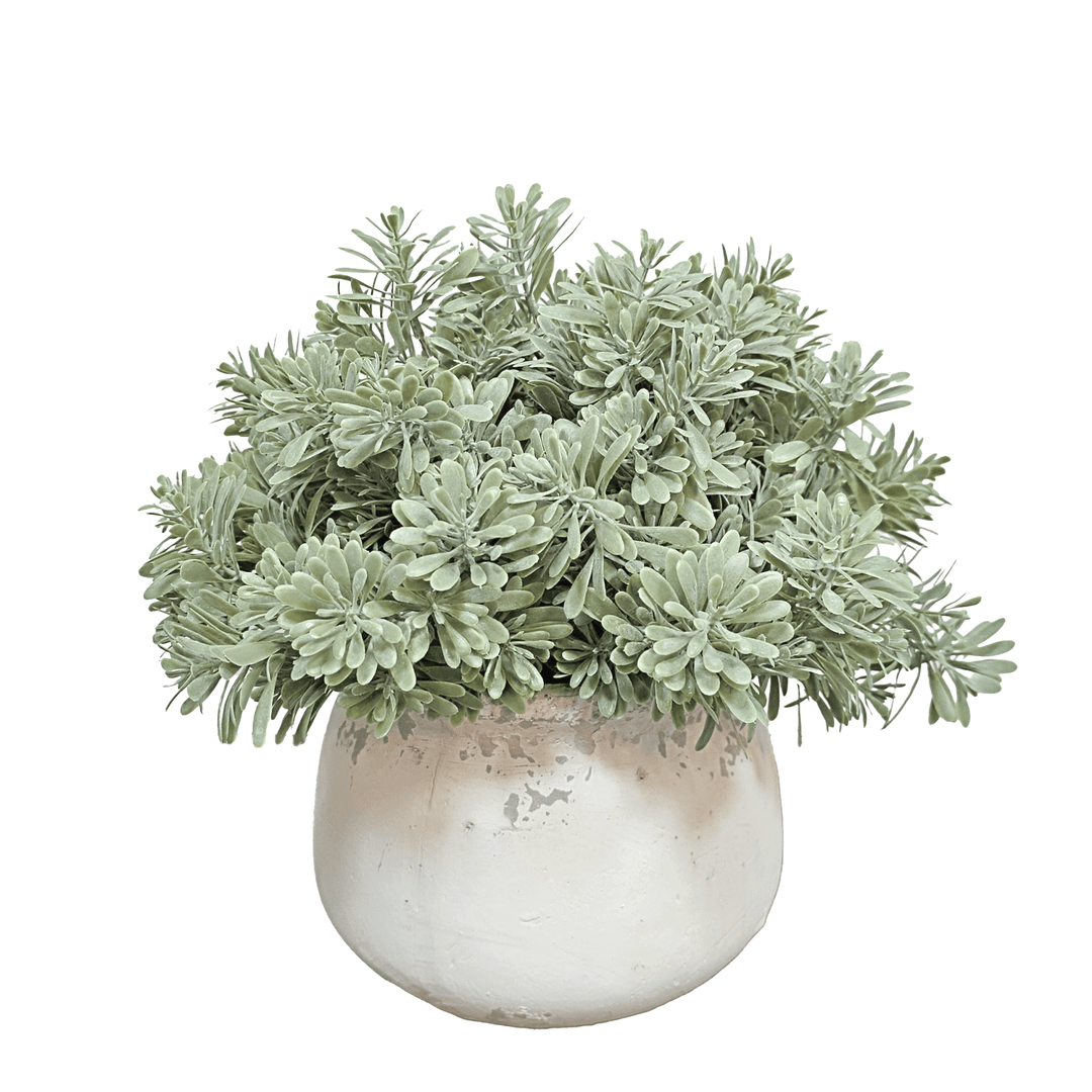 Succulent Grass in Aged Ceramic 10"H - LDF Silk
