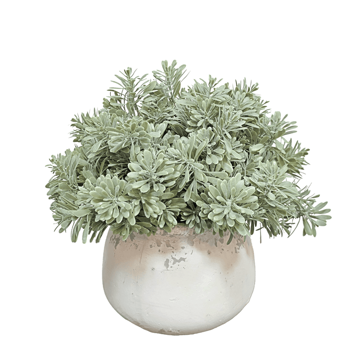 Succulent Grass in Aged Ceramic 10"H - LDF Silk