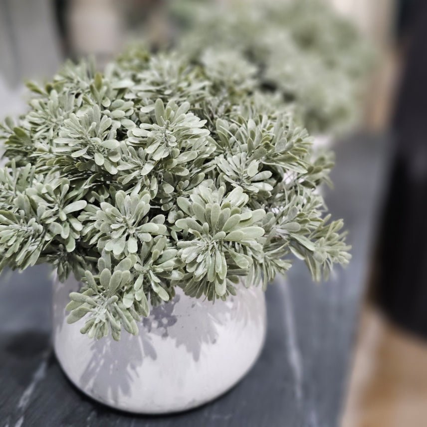 Succulent Grass in Aged Ceramic 10"H - LDF Silk