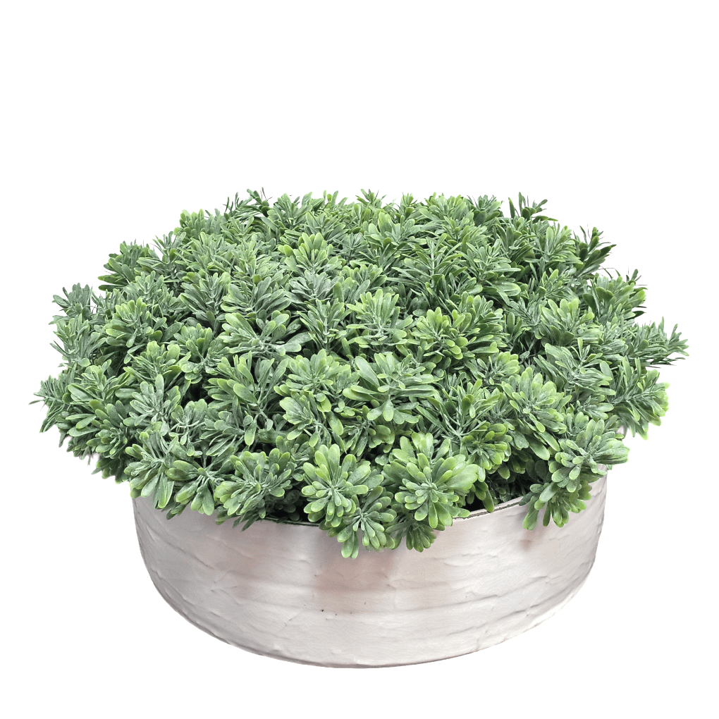Succulent Grass in Ceramic Bowl 8"H X 16"DIA - LDF Silk