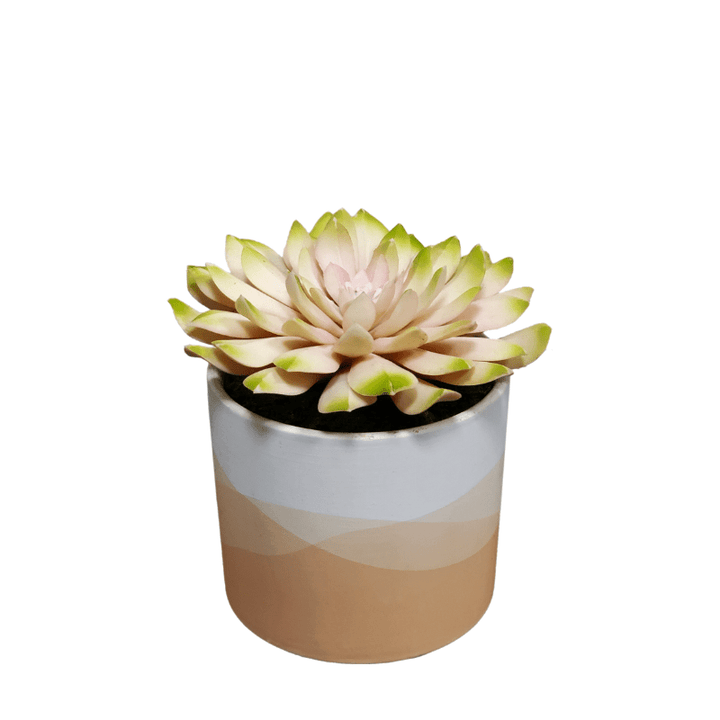 Succulent in Ceramic 6"H - LDF Silk