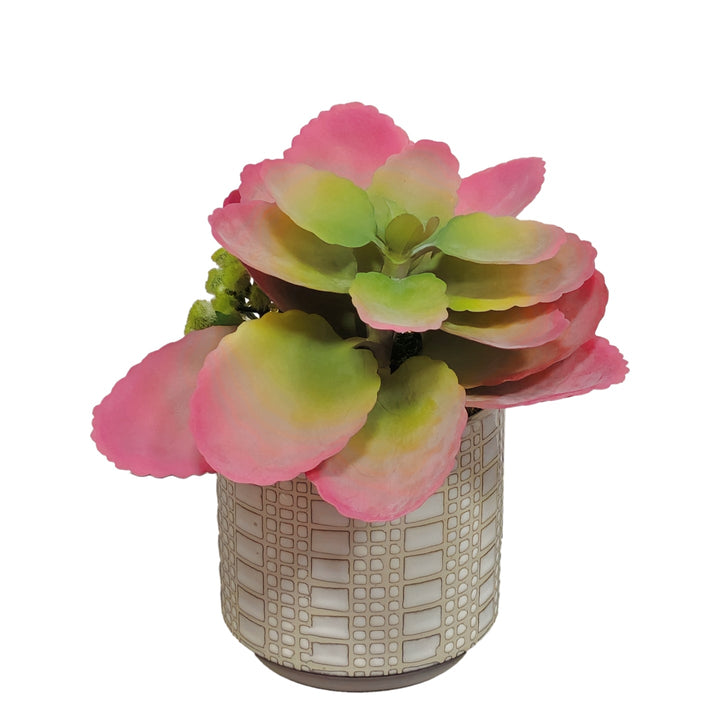 Succulent in Ceramic FH: 8.5" - LDF Silk