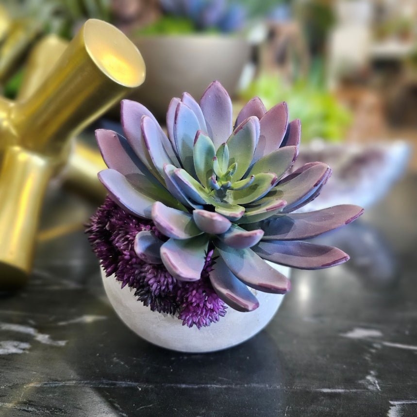 Succulent in Concrete Orb. 5"H - LDF Silk
