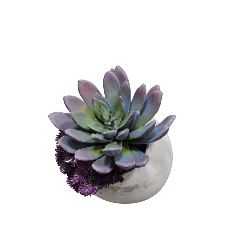 Succulent in Concrete Orb. 5"H - LDF Silk