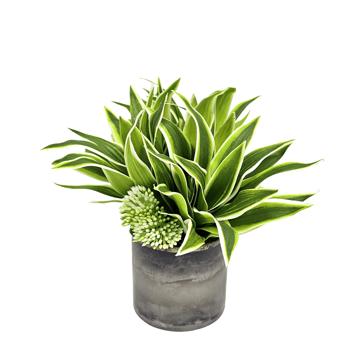 Succulent in Gunmetal. FH: 8"H - LDF Silk
