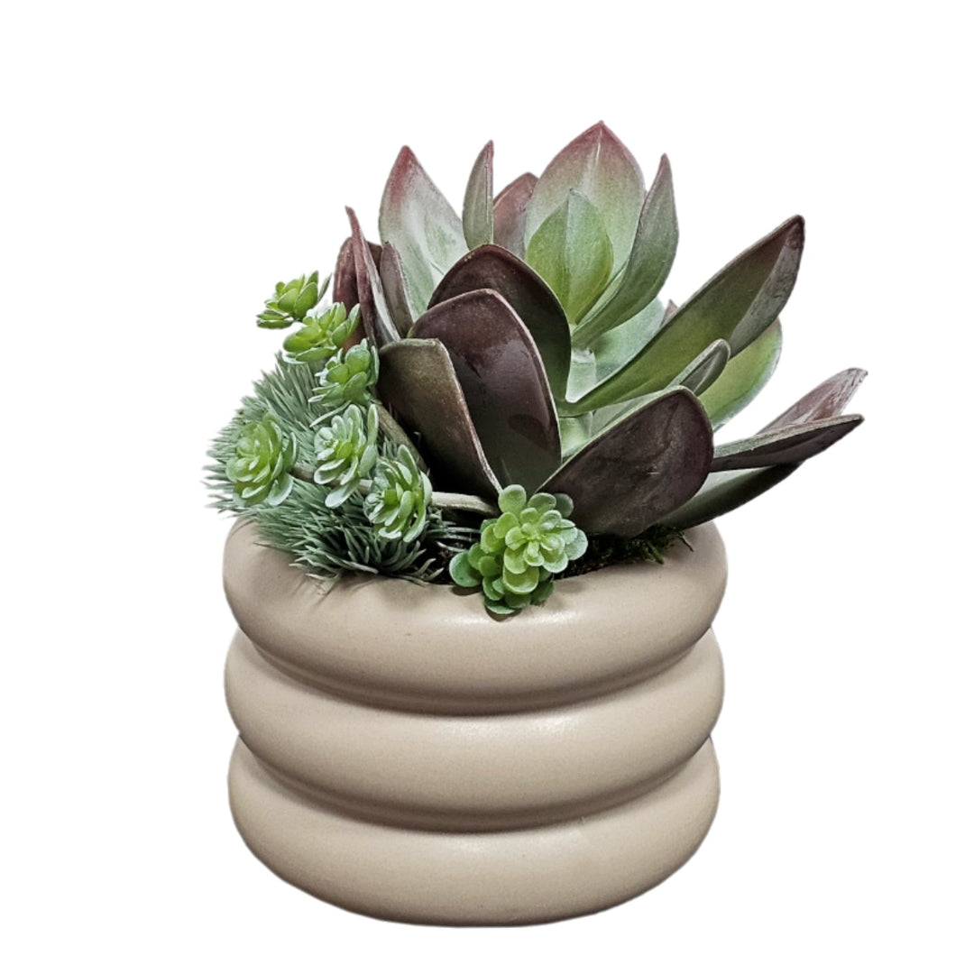 Succulent with Sedum and Grass in Ceramic FH: 6.5"H - LDF Silk