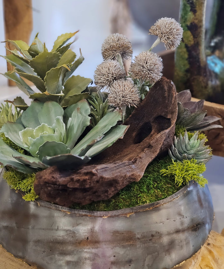 Succulents, Allium and Wood Bowl FH: 13" - LDF SilkArtificial Flora