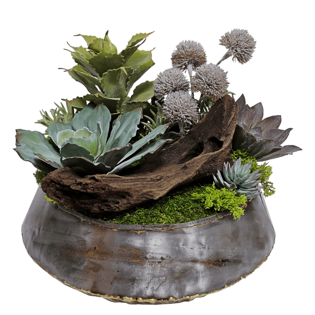 rustic succulents Succulents, Allium and Wood Bowl FH: 13" – LDF Silk