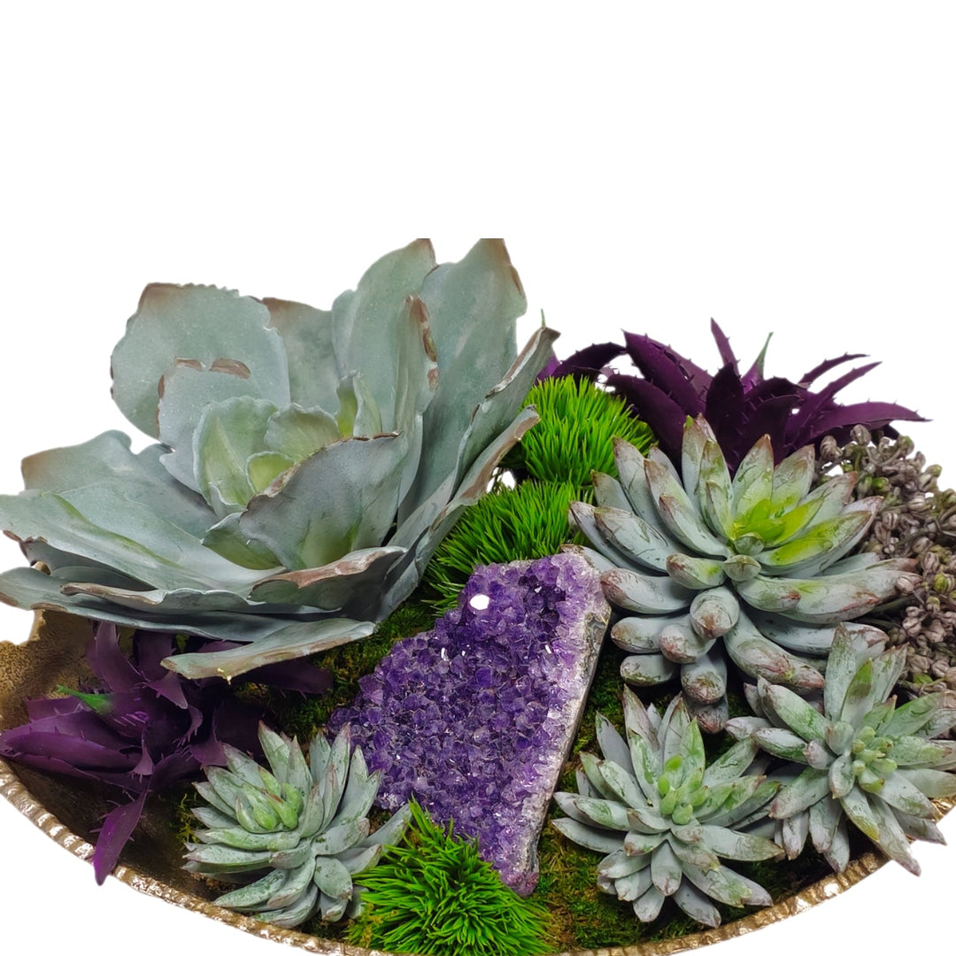 amethyst succulent Succulents and Amethyst in Bowl FH: 9"