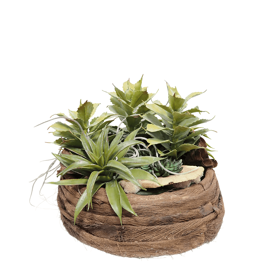 Succulents and Dried Mushrooms in Coco Palm Wrapped Round Container. 14"H - LDF Silk