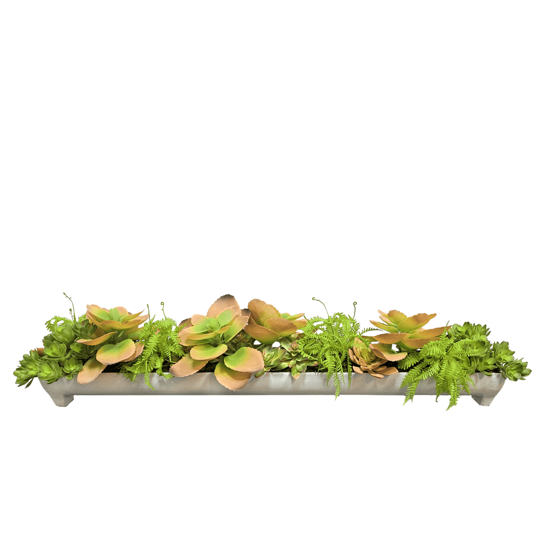 Succulents and Mini Fern in Metal Tray 7"H - LDF Silk