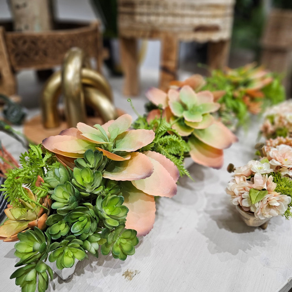 Succulents and Mini Fern in Metal Tray 7"H - LDF Silk