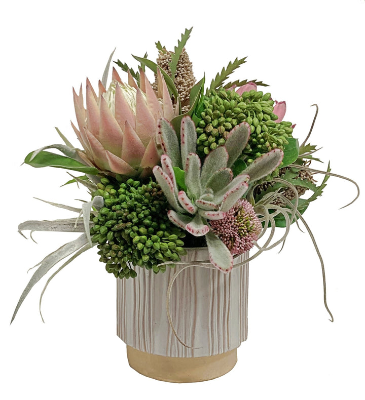 Succulents and Protea in a Ceramic FH: 16" - LDF Silk