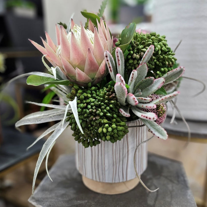 Succulents and Protea in a Ceramic FH: 16" - LDF Silk