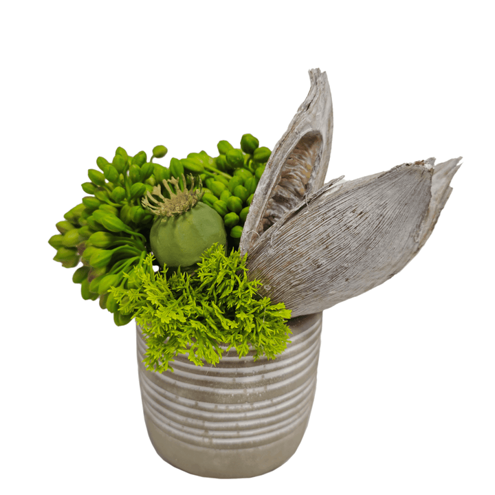 Succulents and Sora Pod in Pot FH: 7" - LDF Silk