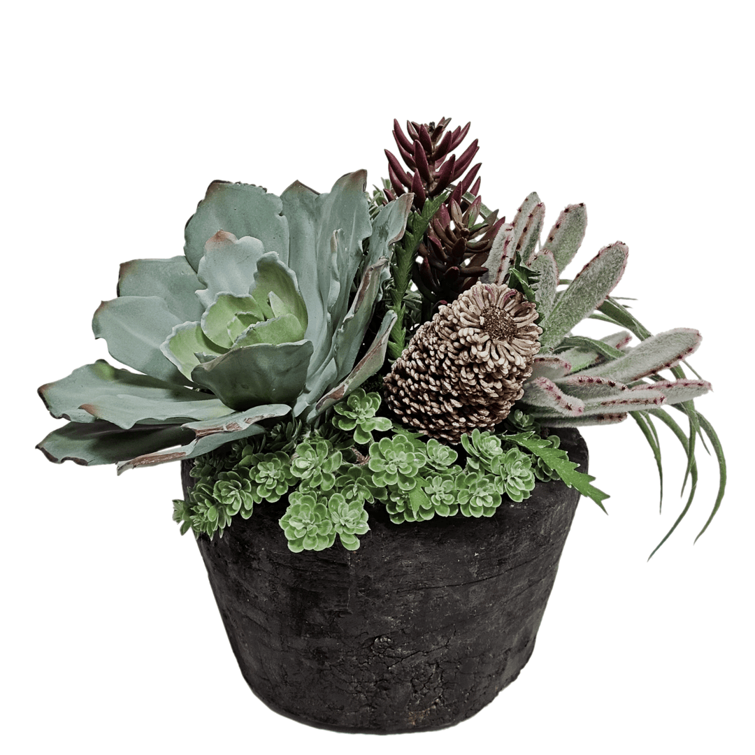 Succulents and Tillandsia with Banksia and Senecio in Bowl FH: 11" - LDF Silk