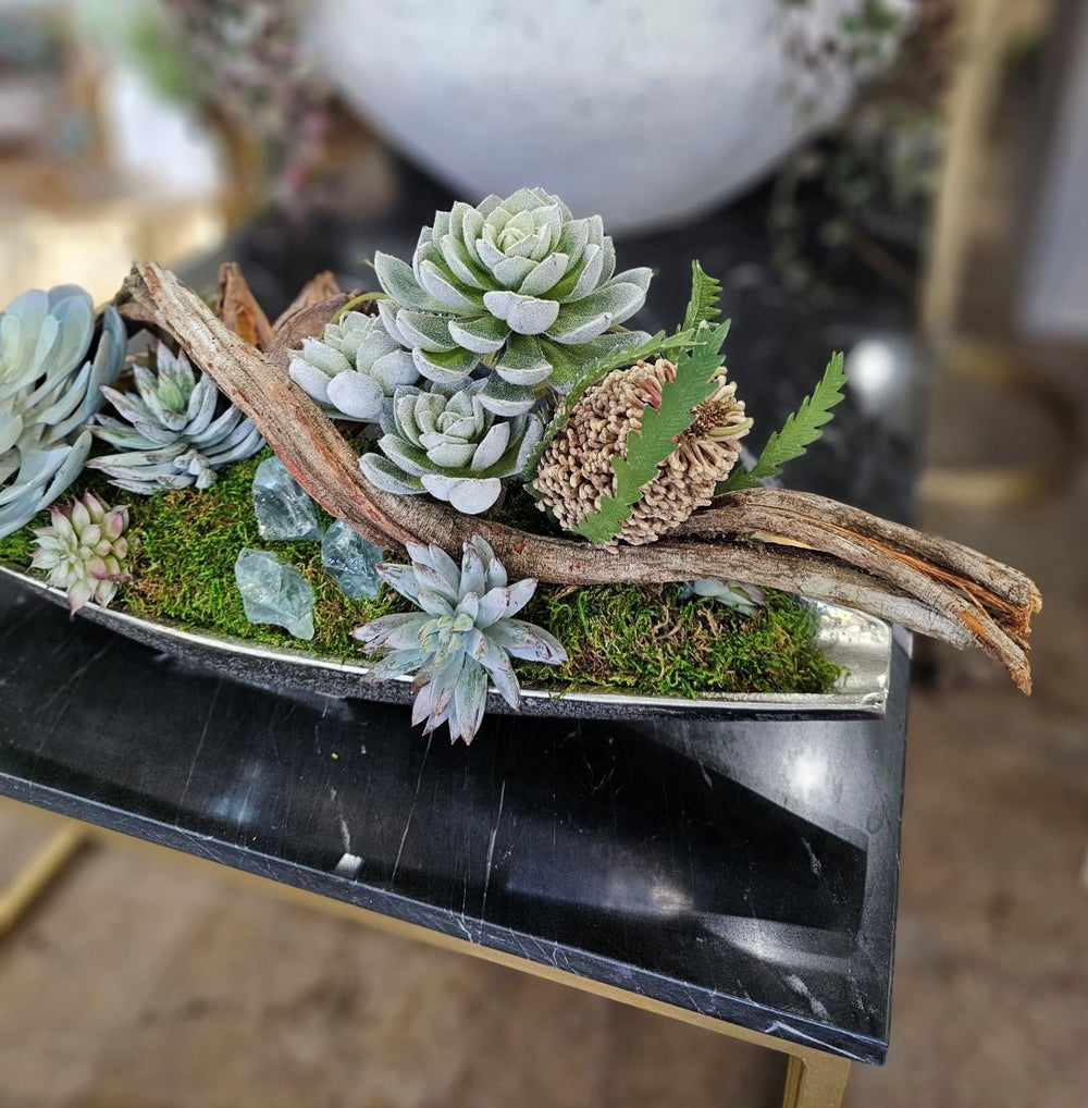 Succulents, Banksia and Twisted Vine in Container FH: 8" - LDF Silk
