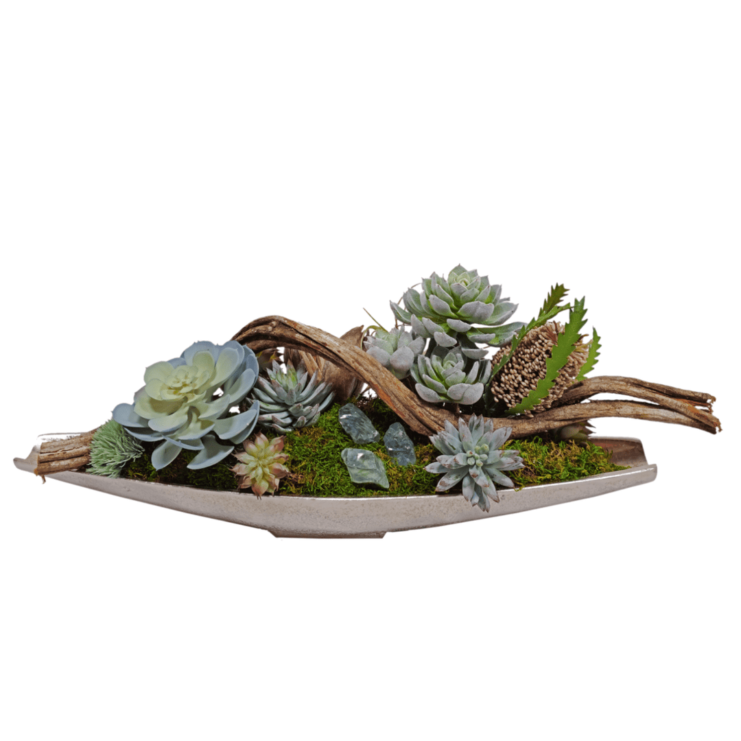 twisty succulent Succulents, Banksia and Twisted Vine in Container FH: 8" – LDF Silk