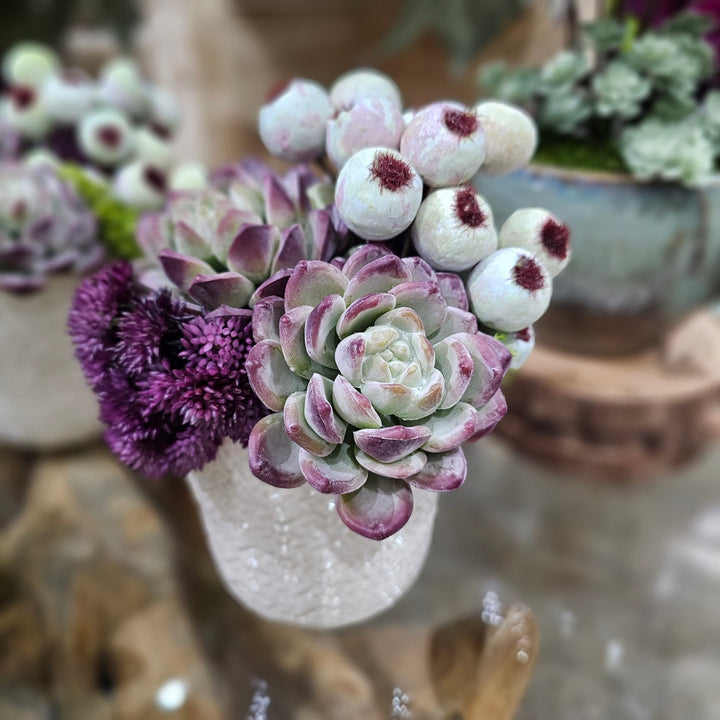 Succulents, Berries and Sedum in Ceramic 7"H - LDF Silk