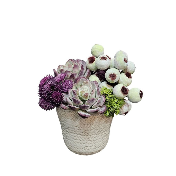 Succulents, Berries and Sedum in Cream Ceramic 7"H - LDF Silk