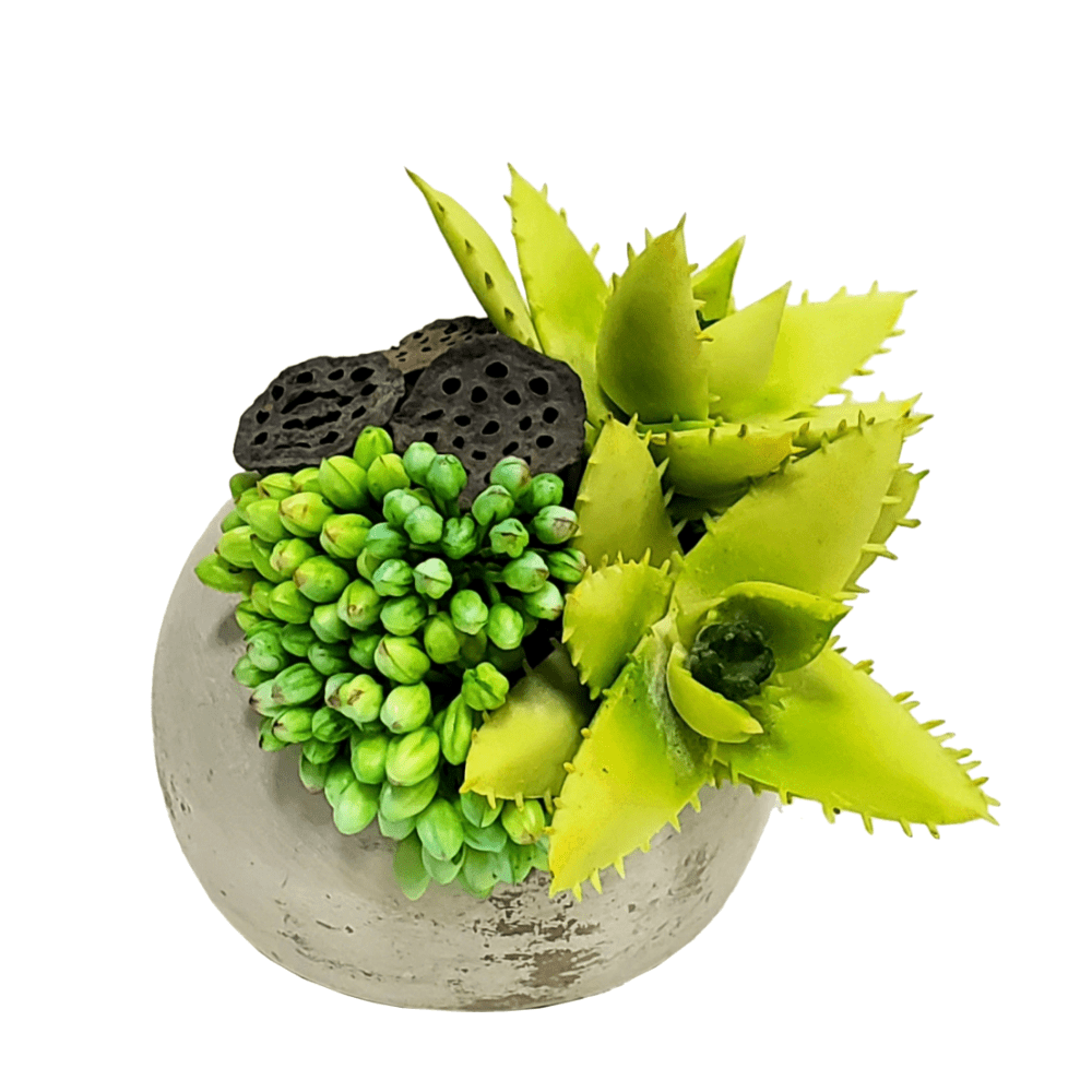 Succulents, Berry Clusters and Dried Lotus Pods in Orb FH: 5.5"H - LDF Silk