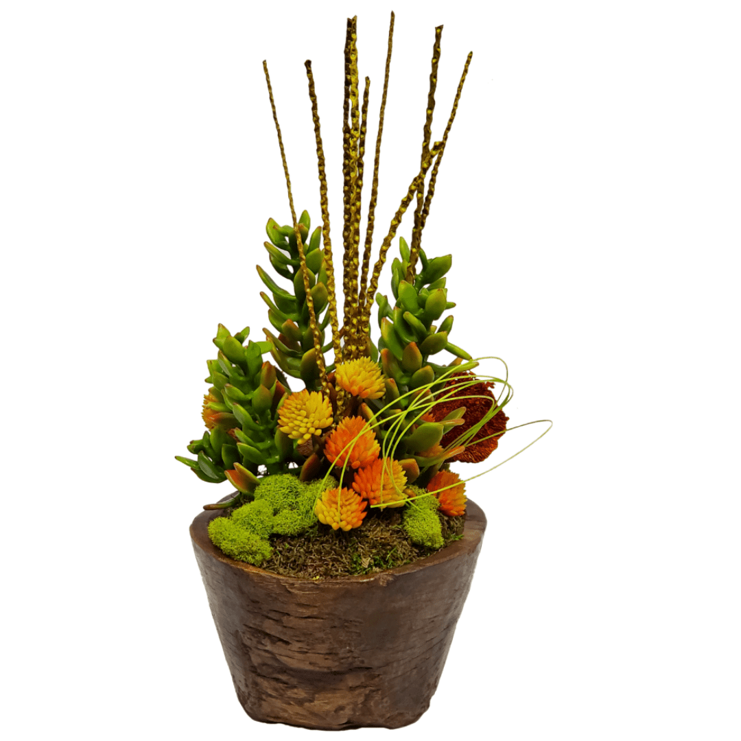 Succulents, Dried Mushrooms and Caba Spines in Bowl FD: 22"H - LDF Silk