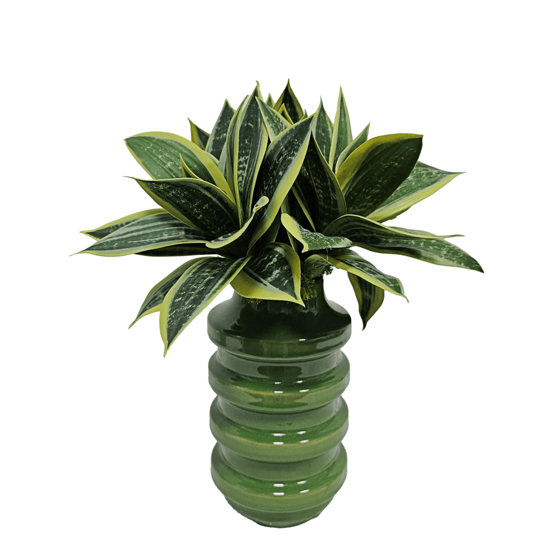 Succulents in Ceramic Vase. 15"H - LDF Silk