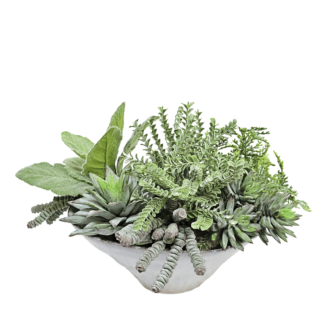 Succulents in Oval Ceramic. 11"H - LDF Silk