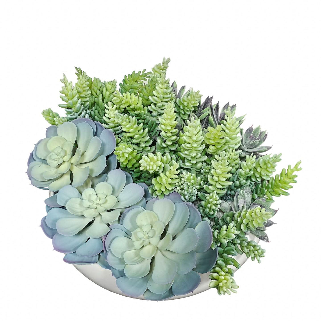 Succulents in Round Ceramic Bowl. FH:7" - LDF SilkArtificial Flora