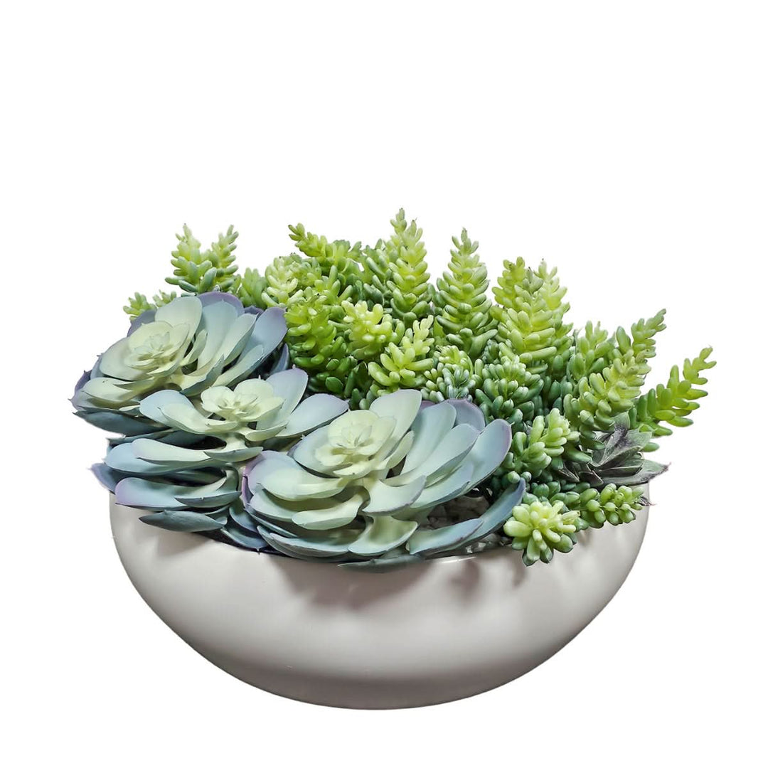 Succulents in Round Ceramic Bowl. FH:7" - LDF SilkArtificial Flora