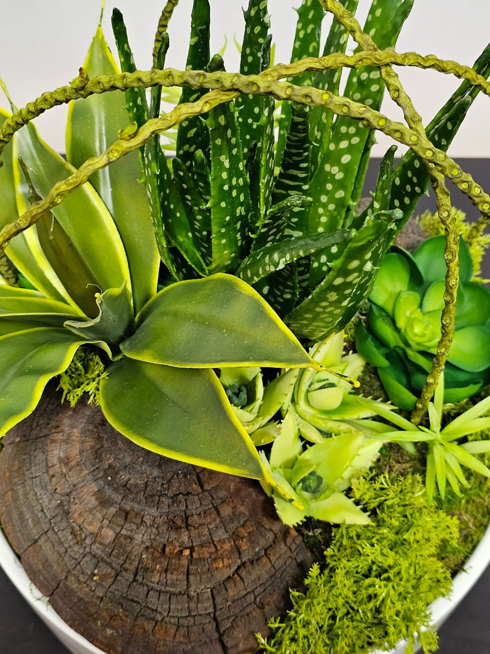 Succulents, Mushroom sponge, and Willow Spray in Container FH: 15" - LDF Silk