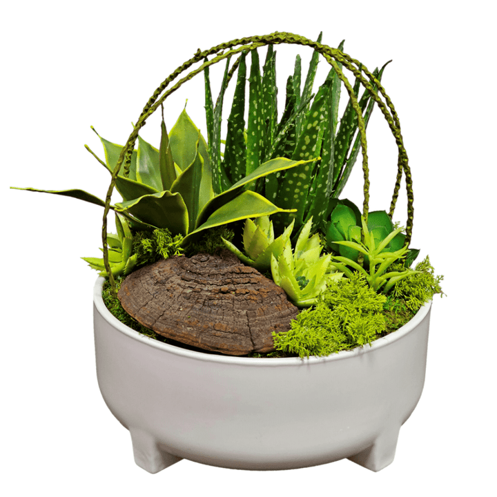spray for succulents Succulents, Mushroom sponge, and Willow Spray in Container FH: 15" – LDF Silk