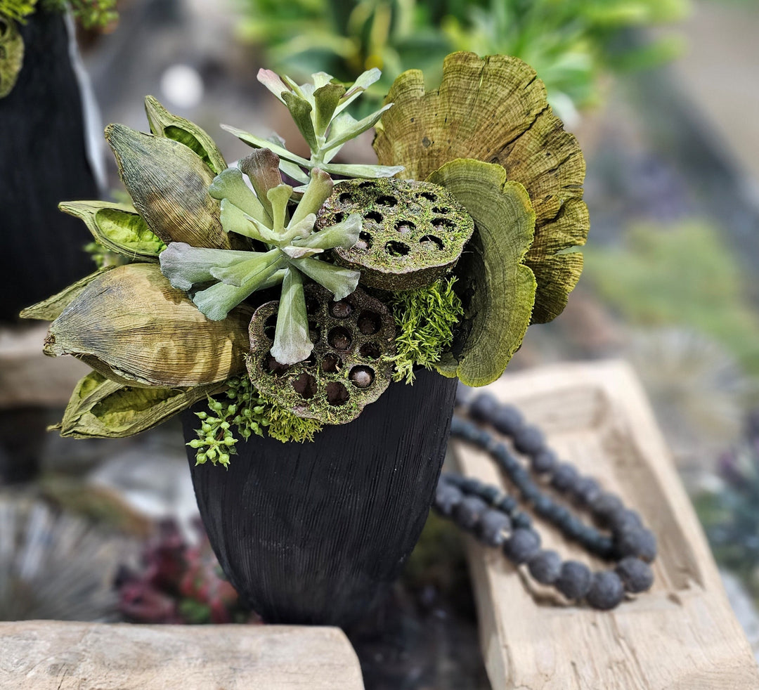 Succulents, Sora Pods and Mushrooms in Textured Ceramic Black Vase. 14"H - LDF Silk